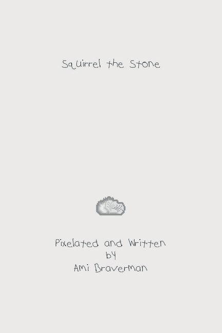 Knjiga Squirrel the Stone Ami Braverman