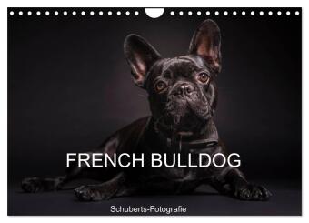 Kalendarz/Pamiętnik French Bulldog (Wandkalender 2025 DIN A4 quer), CALVENDO Monatskalender Calvendo