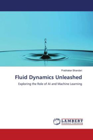 Knjiga Fluid Dynamics Unleashed Prabhakar Bhandari