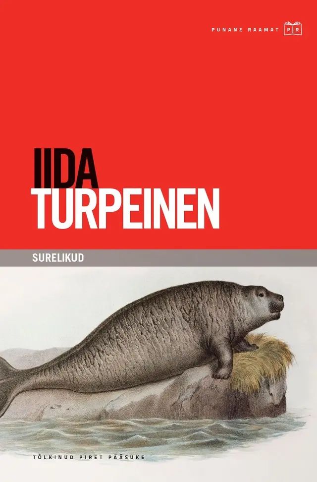 Könyv Surelikud Iida Turpeinen