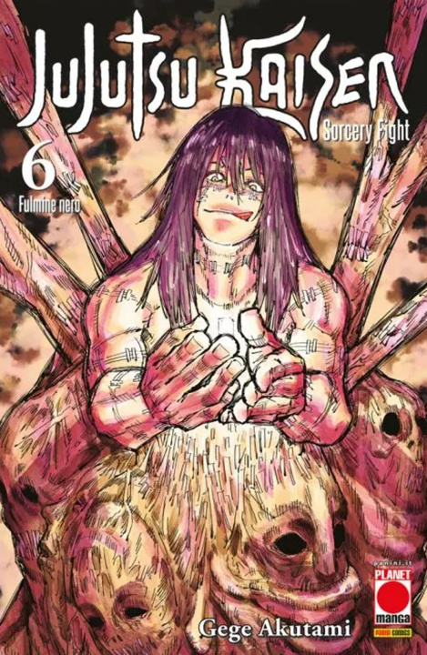 Book Jujutsu Kaisen. Sorcery Fight Gege Akutami