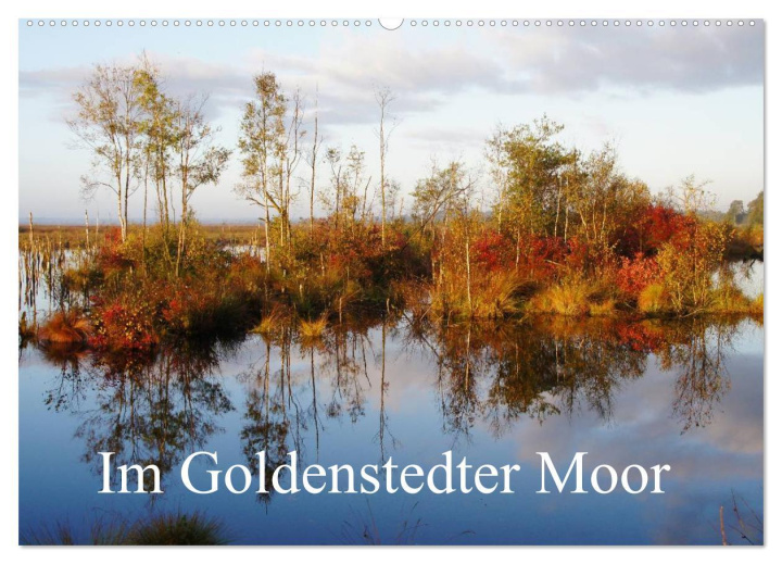 Kalendář/Diář Im Goldenstedter Moor (Wandkalender 2025 DIN A2 quer), CALVENDO Monatskalender Calvendo