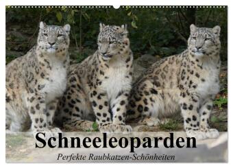 Kalendarz/Pamiętnik Schneeleoparden. Perfekte Raubkatzen-Schönheiten (Wandkalender 2025 DIN A2 quer), CALVENDO Monatskalender Calvendo