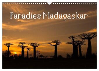 Kalendar/Rokovnik Paradies Madagaskar (Wandkalender 2025 DIN A3 quer), CALVENDO Monatskalender Calvendo