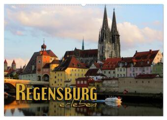 Kalendar/Rokovnik Regensburg erleben (Wandkalender 2025 DIN A2 quer), CALVENDO Monatskalender Calvendo