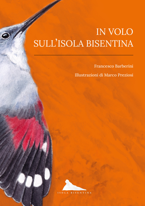 Könyv In volo sull'isola Bisentina Francesco Barberini