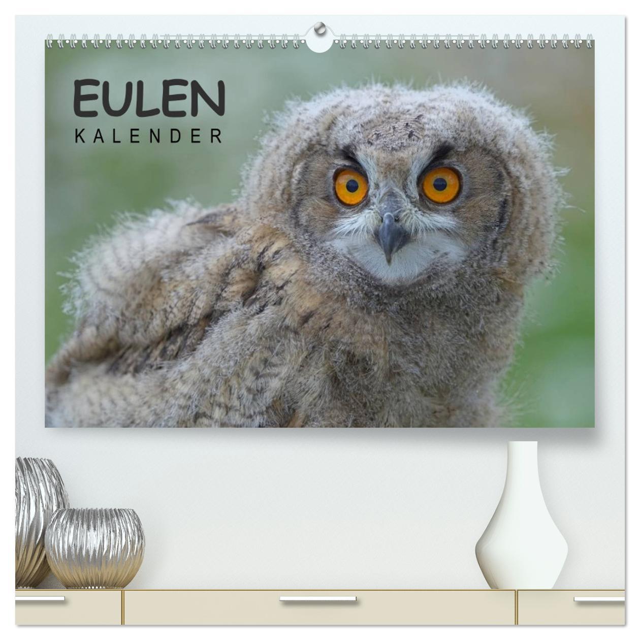 Kalendář/Diář Eulen-Kalender (hochwertiger Premium Wandkalender 2025 DIN A2 quer), Kunstdruck in Hochglanz Calvendo