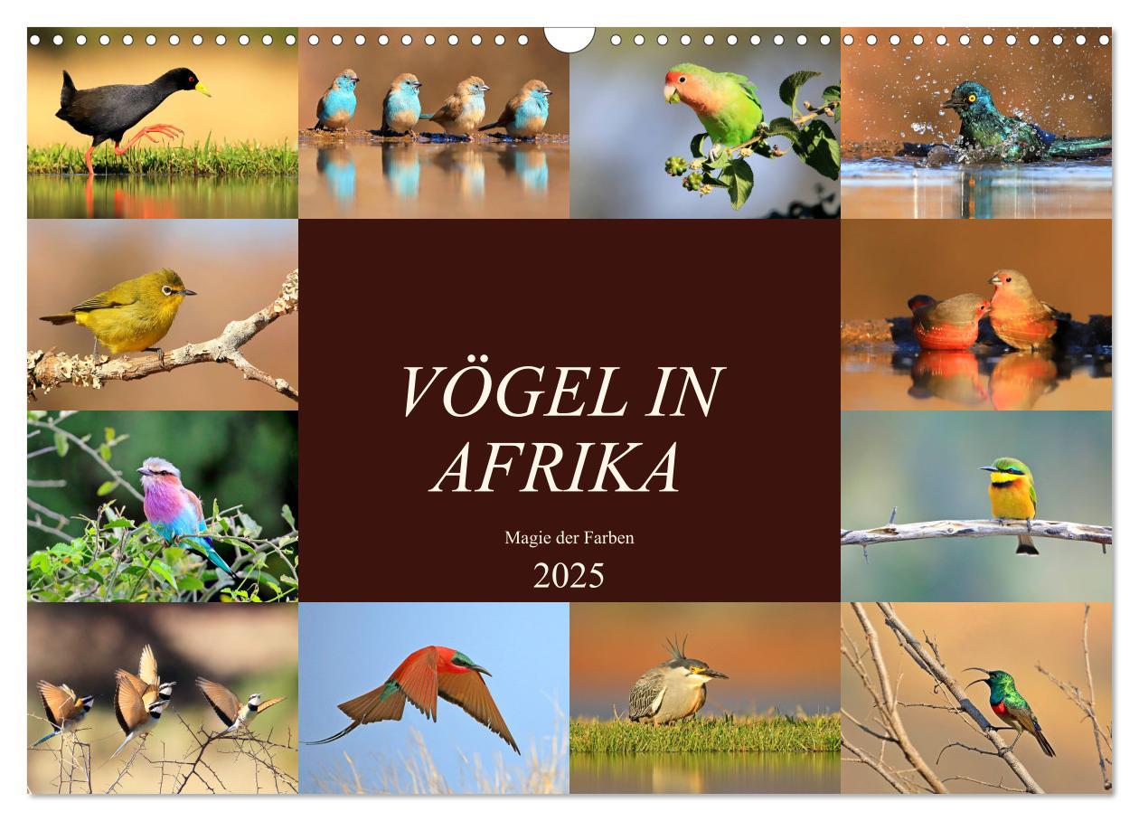 Kalendarz/Pamiętnik Vögel in Afrika - Magie der Farben (Wandkalender 2025 DIN A3 quer), CALVENDO Monatskalender Calvendo