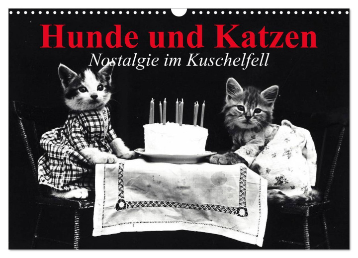 Kalendár/Diár Hunde und Katzen - Nostalgie im Kuschelfell (Wandkalender 2025 DIN A3 quer), CALVENDO Monatskalender Calvendo