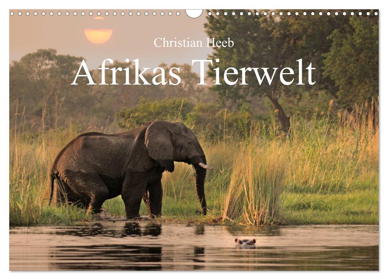 Календар/тефтер Afrikas Tierwelt Christian Heeb (Wandkalender 2025 DIN A3 quer), CALVENDO Monatskalender Calvendo