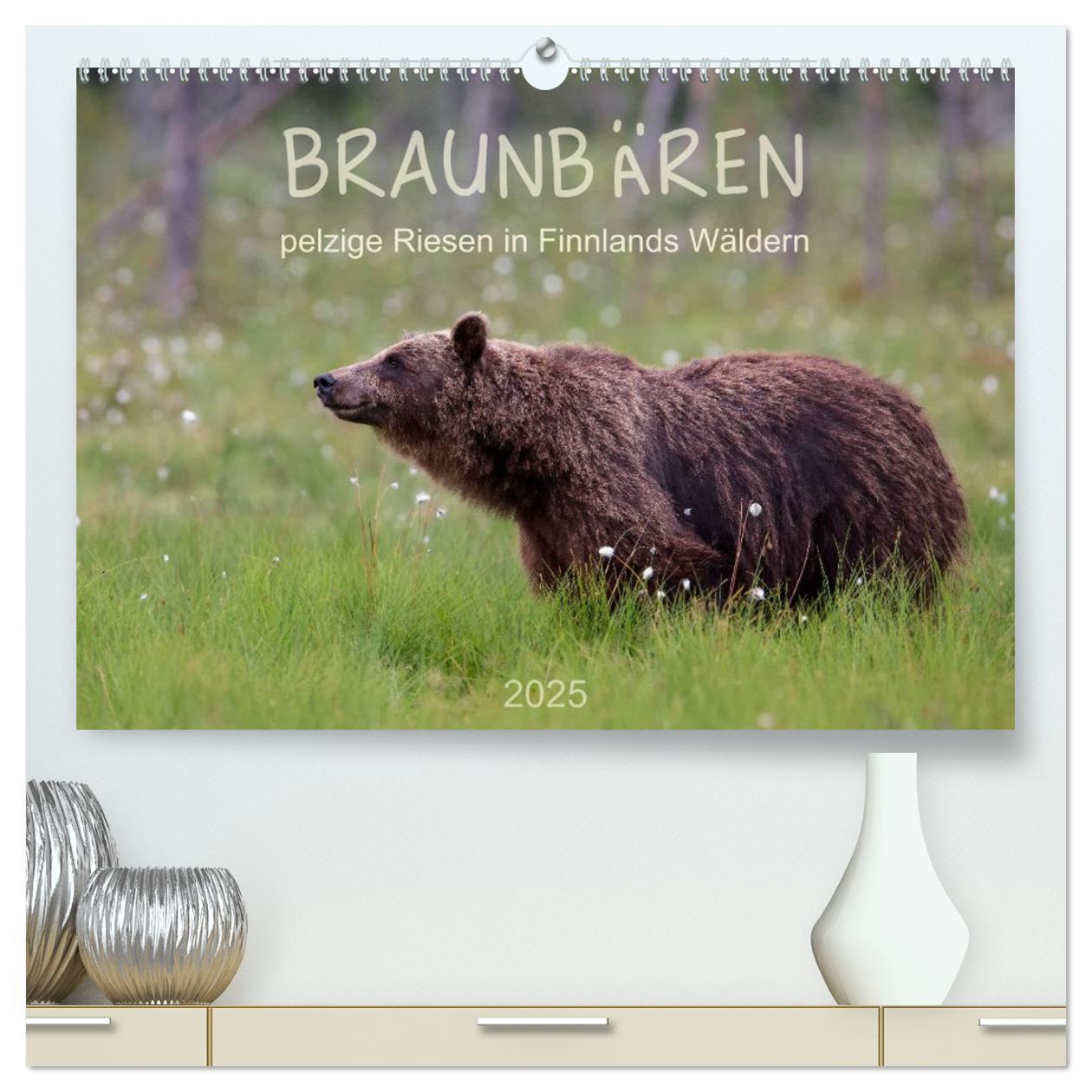 Kalendář/Diář Braunbären - pelzige Riesen in Finnlands Wäldern (hochwertiger Premium Wandkalender 2025 DIN A2 quer), Kunstdruck in Hochglanz Calvendo