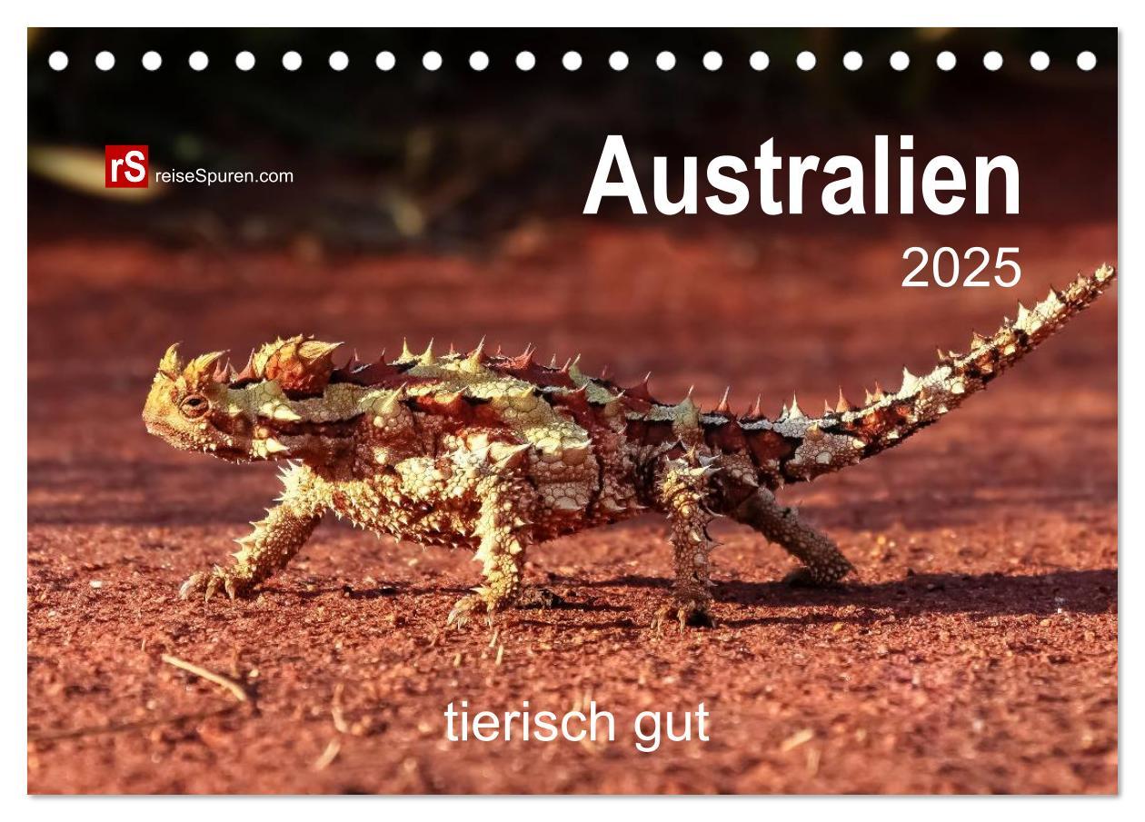 Kalendarz/Pamiętnik Australien tierisch gut 2025 (Tischkalender 2025 DIN A5 quer), CALVENDO Monatskalender Calvendo