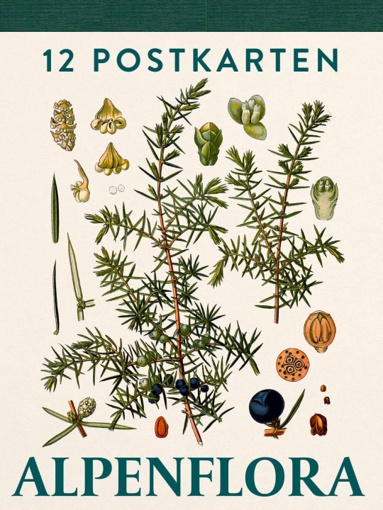 Knjiga Alpenflora 