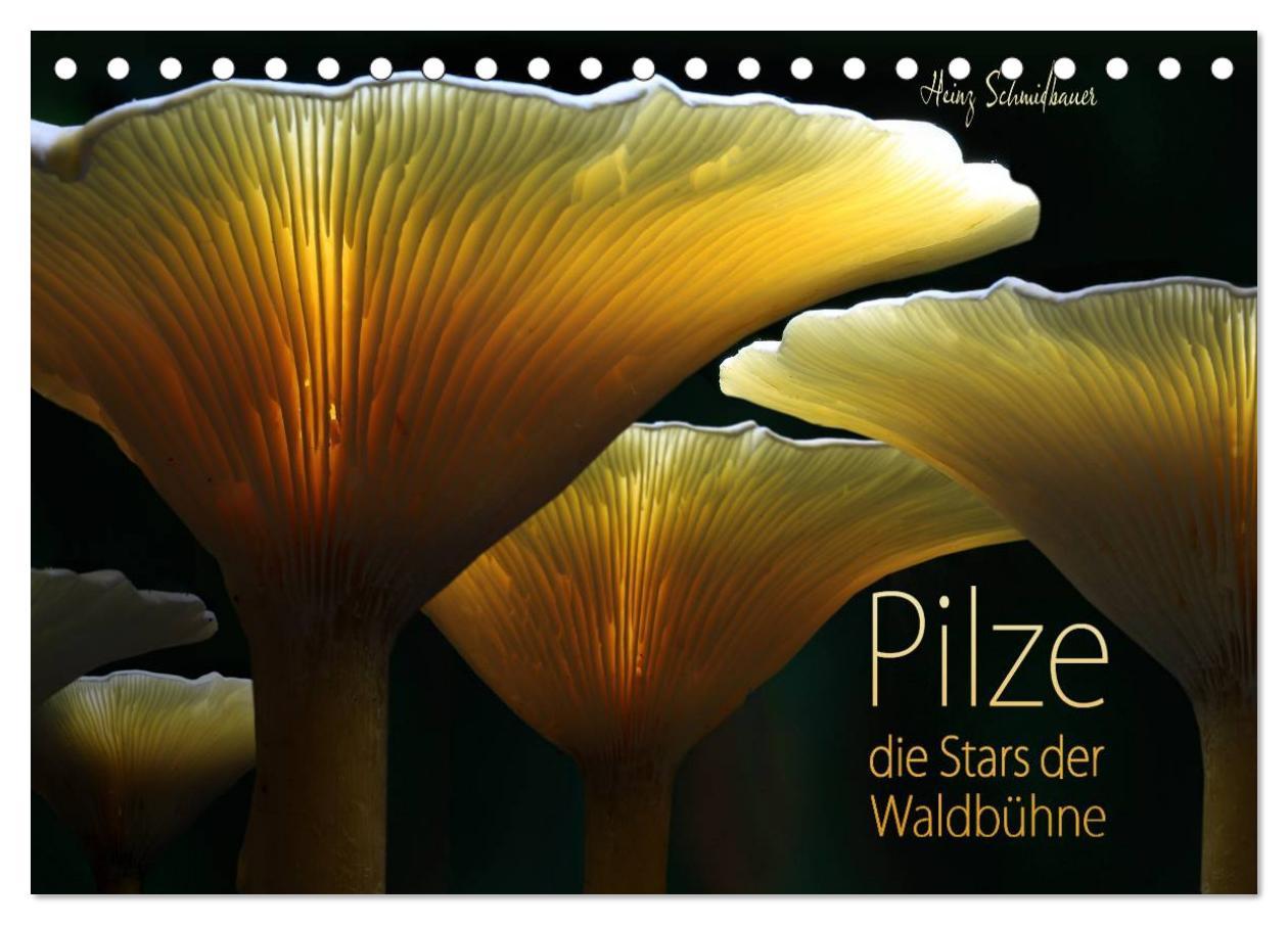 Kalendar/Rokovnik Pilze - die Stars der Waldbühne (Tischkalender 2025 DIN A5 quer), CALVENDO Monatskalender Calvendo