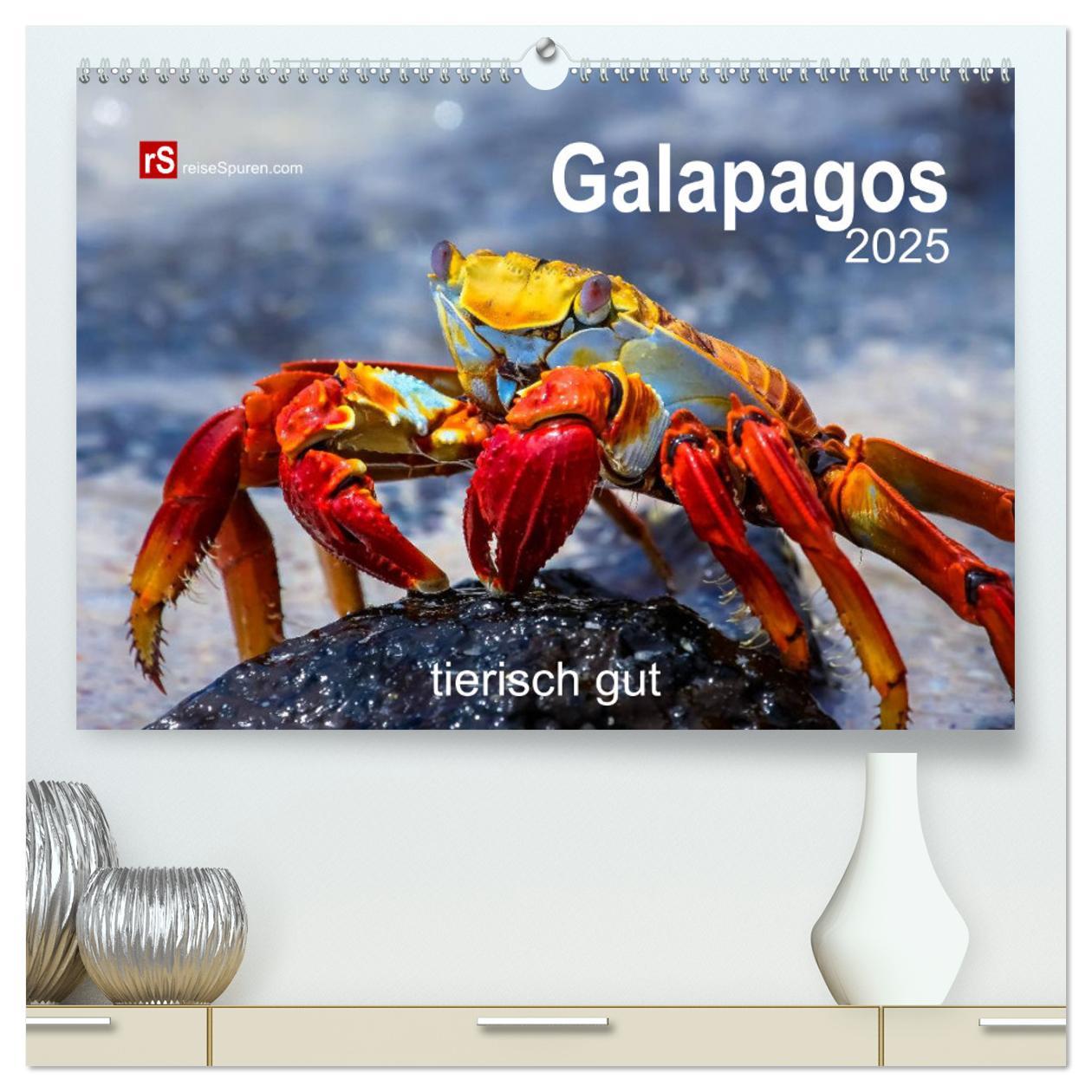 Naptár/Határidőnapló Galapagos 2025 tierisch gut (hochwertiger Premium Wandkalender 2025 DIN A2 quer), Kunstdruck in Hochglanz Calvendo