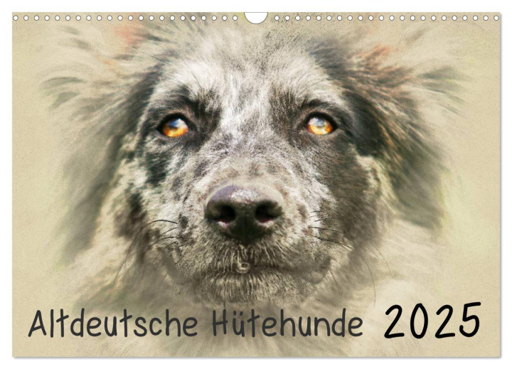 Naptár/Határidőnapló Altdeutsche Hütehunde 2025 (Wandkalender 2025 DIN A3 quer), CALVENDO Monatskalender Calvendo