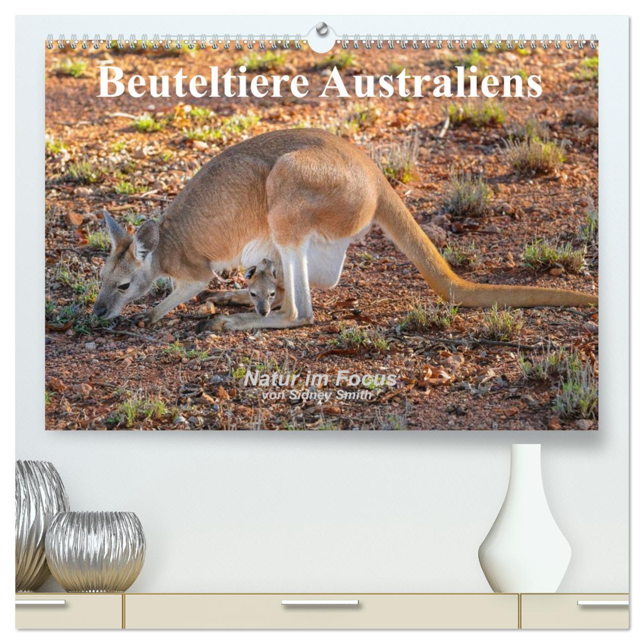 Calendrier/agenda Beuteltiere Australiens (hochwertiger Premium Wandkalender 2025 DIN A2 quer), Kunstdruck in Hochglanz Calvendo