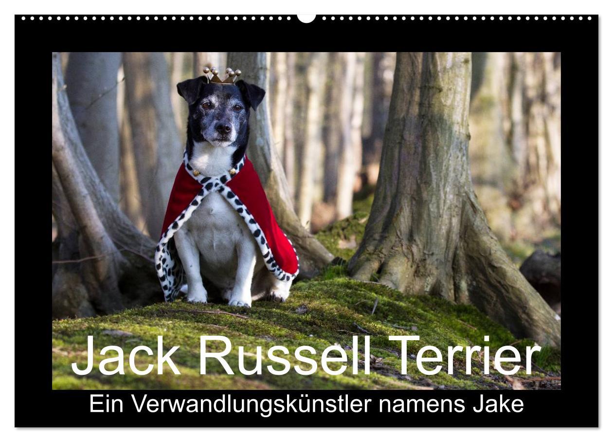 Kalendář/Diář Jack Russell Terrier.....Ein Verwandlungskünstler namens Jake (Wandkalender 2025 DIN A2 quer), CALVENDO Monatskalender Calvendo