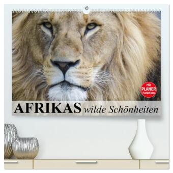 Calendario/Agenda Afrikas wilde Schönheiten (hochwertiger Premium Wandkalender 2025 DIN A2 quer), Kunstdruck in Hochglanz Calvendo