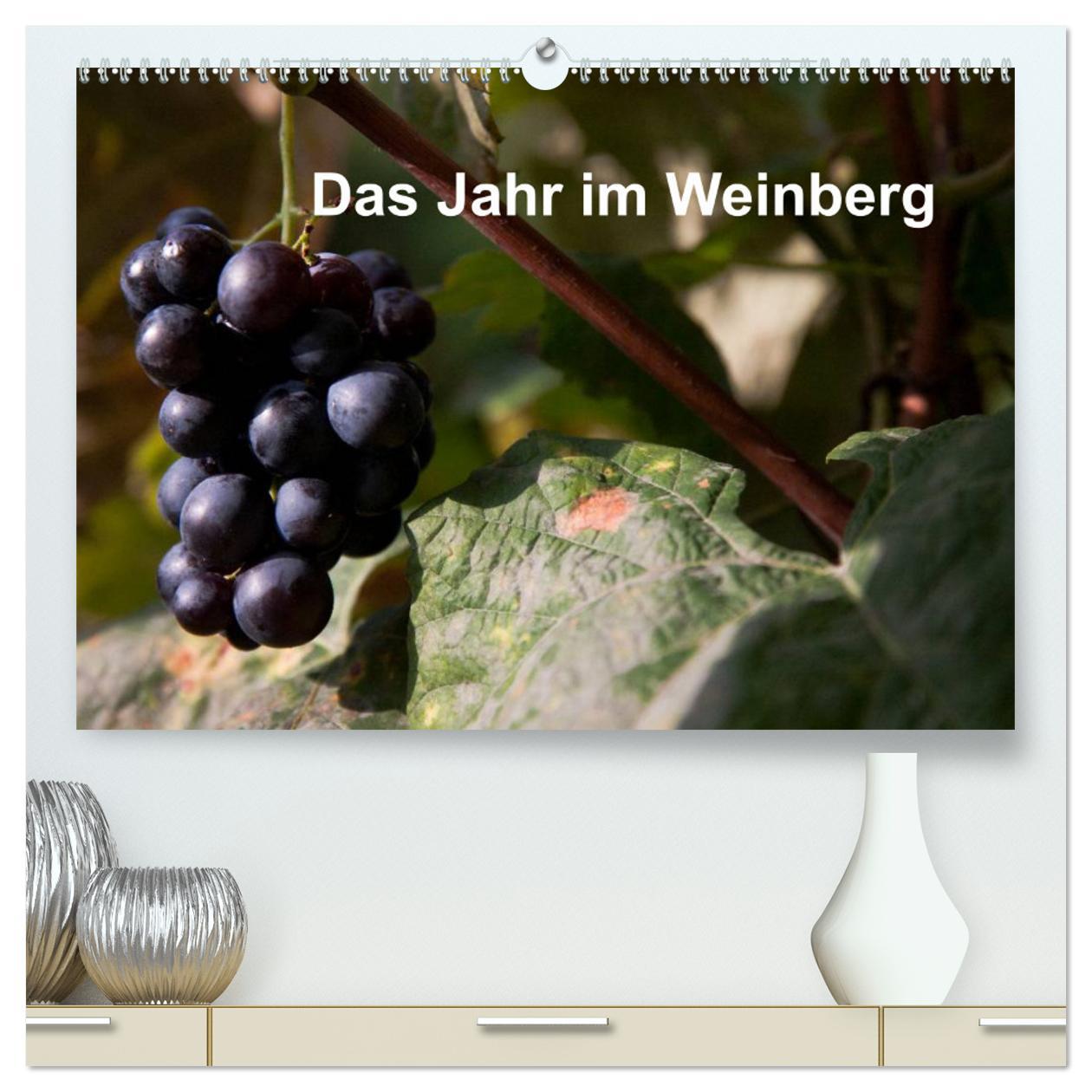 Kalendarz/Pamiętnik Das Jahr im Weinberg (hochwertiger Premium Wandkalender 2025 DIN A2 quer), Kunstdruck in Hochglanz Calvendo