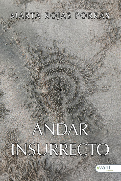 Knjiga ANDAR INSURRECTO Rojas Porras