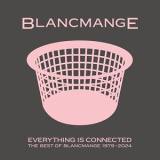 Аудио Everything Is Connected - Best Of (2CD) Blancmange