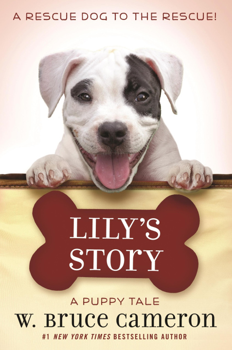 Book Lily's Story 