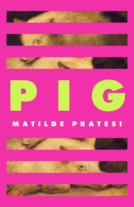 Book Pig Susanna Lea Associates
