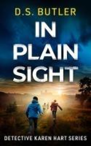 Buch In Plain Sight D. S. Butler