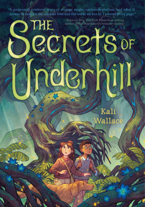 Buch The Secrets of Underhill 