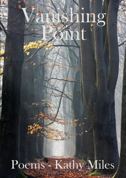 Buch Vanishing Point Kathy Miles