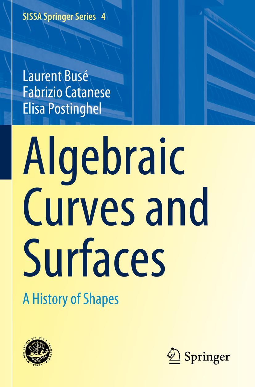 Boek Algebraic Curves and Surfaces Elisa Postinghel