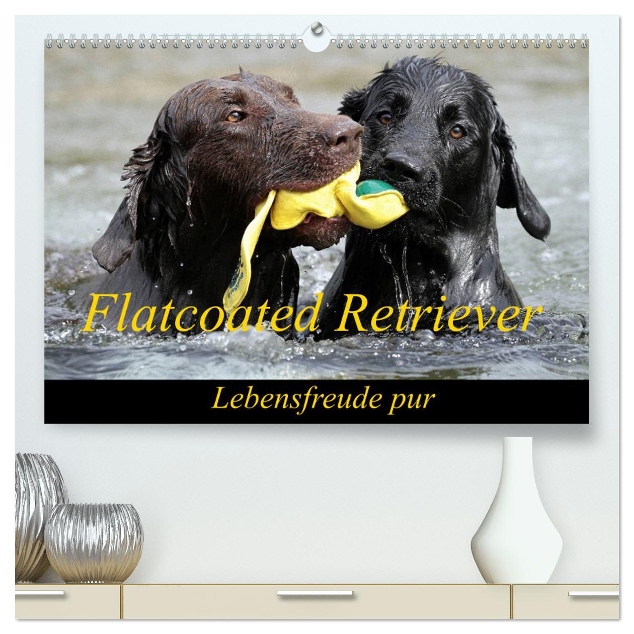 Kalendář/Diář Flatcoated Retriever (hochwertiger Premium Wandkalender 2025 DIN A2 quer), Kunstdruck in Hochglanz 