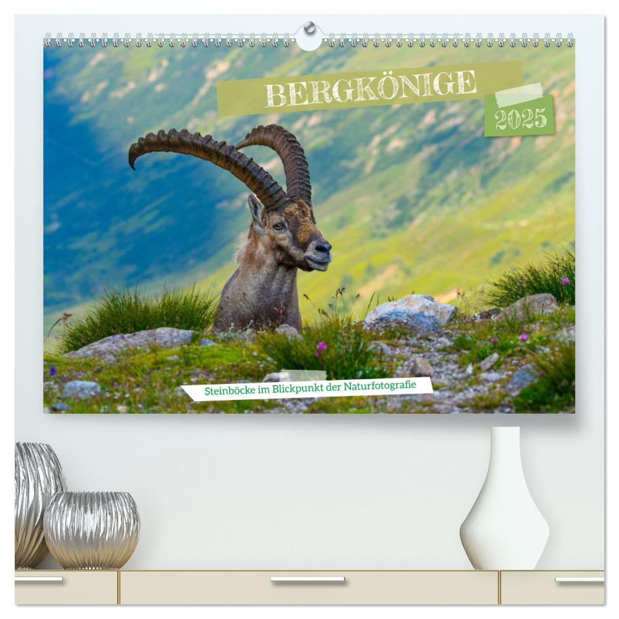 Kalendar/Rokovnik Bergkönige - Steinböcke im Blickpunkt der Naturfotografie (hochwertiger Premium Wandkalender 2025 DIN A2 quer), Kunstdruck in Hochglanz 