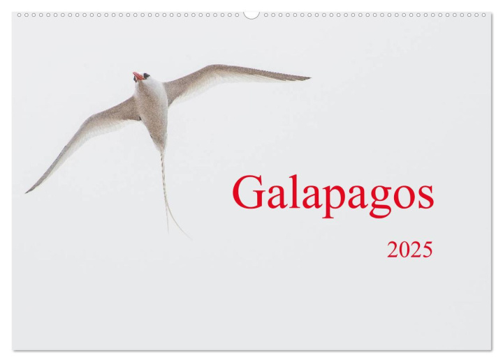 Kalendář/Diář Galapagos (Wandkalender 2025 DIN A2 quer), CALVENDO Monatskalender 