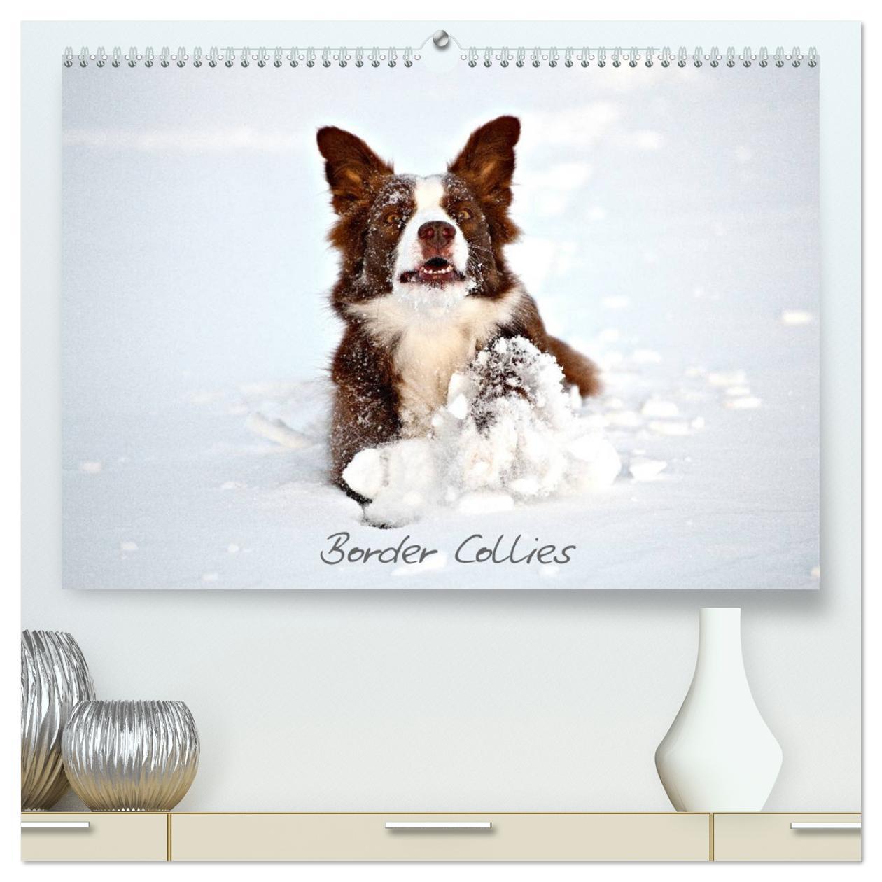 Kalendár/Diár Border Collies (hochwertiger Premium Wandkalender 2025 DIN A2 quer), Kunstdruck in Hochglanz 