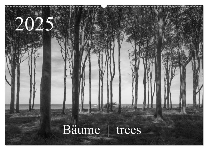 Calendario/Agenda Bäume trees 2025 (Wandkalender 2025 DIN A2 quer), CALVENDO Monatskalender 