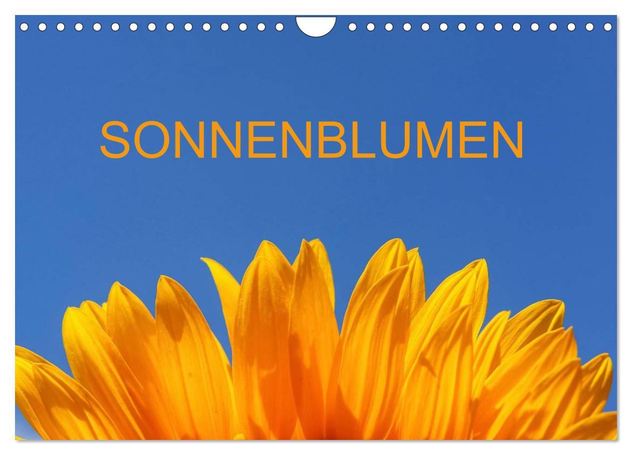 Kalendár/Diár Sonnenblumen (Wandkalender 2025 DIN A4 quer), CALVENDO Monatskalender 