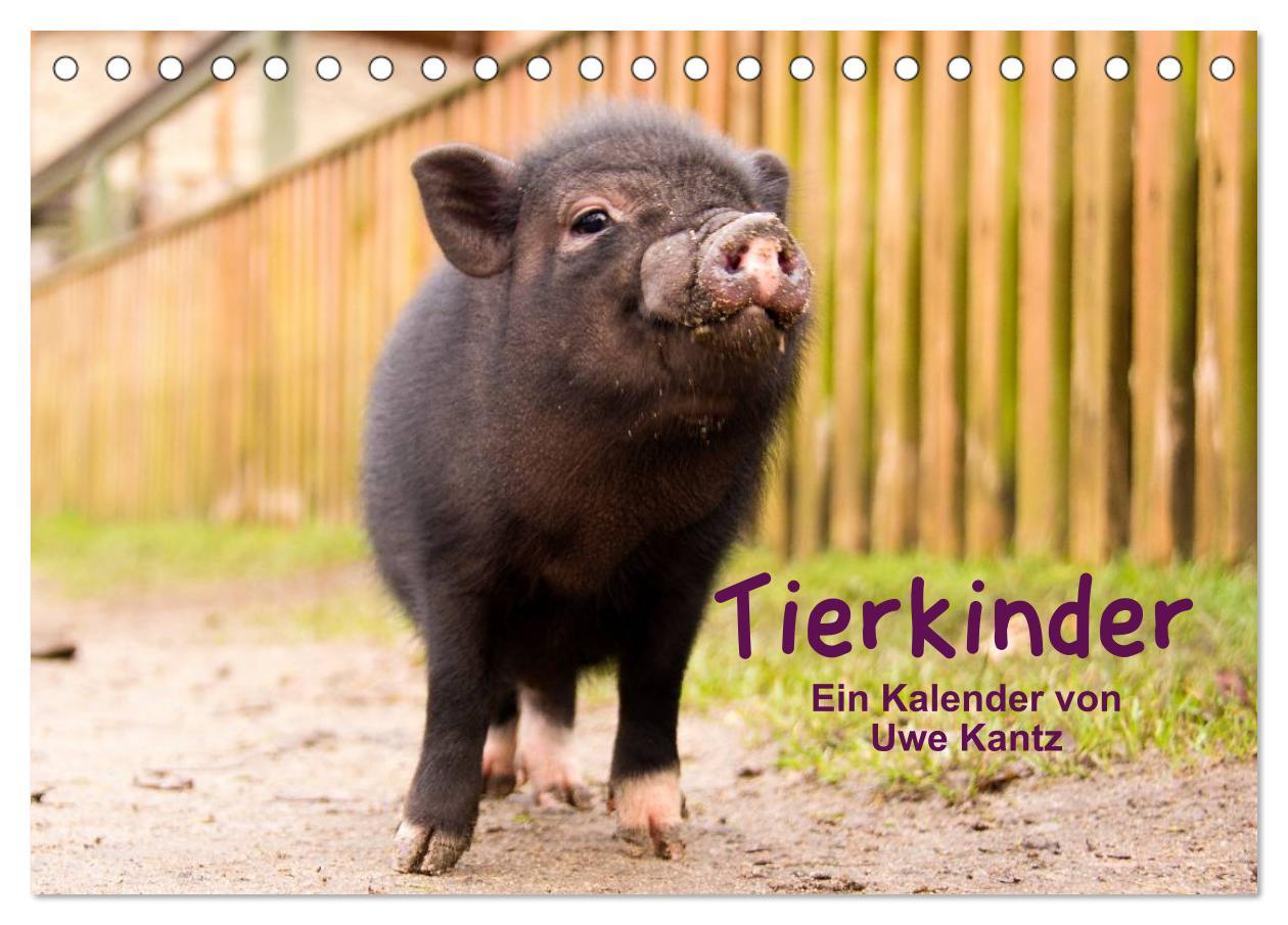 Calendar/Diary Tierkinder (Tischkalender 2025 DIN A5 quer), CALVENDO Monatskalender 