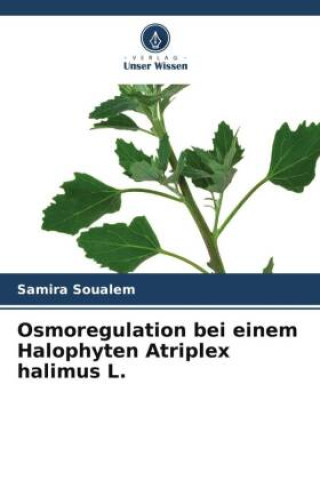 Boek Osmoregulation bei einem Halophyten Atriplex halimus L. Samira SOUALEM