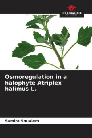 Knjiga Osmoregulation in a halophyte Atriplex halimus L. Samira SOUALEM