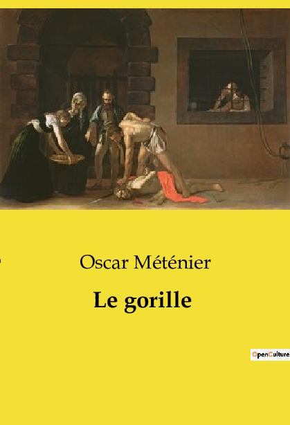 Buch Le gorille Méténier