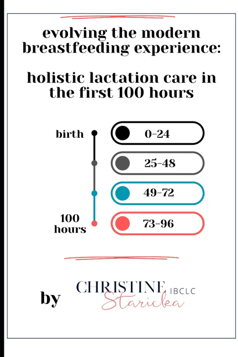 Buch Evolving the Modern Breastfeeding Experience Christine Staricka