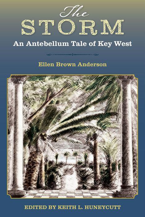 Knjiga Storm Ellen Brown Anderson
