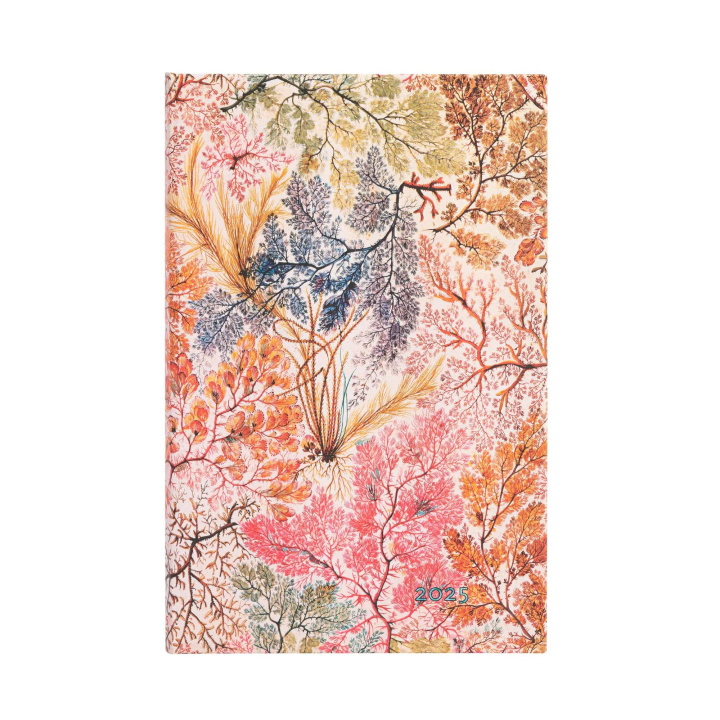 Buch Anemone (William Kilburn) Midi 12-month Horizontal Hardback Dayplanner 2025 (Wrap Closure) Paperblanks