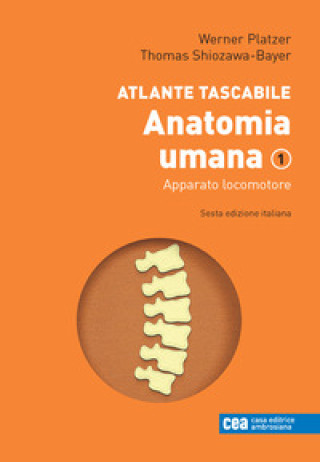 Kniha Atlante tascabile di anatomia umana Werner Platzer