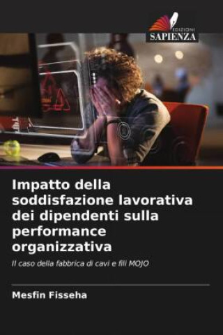 Könyv Impatto della soddisfazione lavorativa dei dipendenti sulla performance organizzativa Mesfin Fisseha