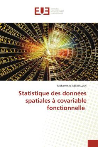 Knjiga Statistique des données spatiales à covariable fonctionnelle Mohammed ABEIDALLAH