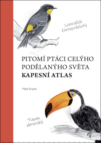 Buch Pitomí ptáci celýho podělanýho světa Matt Kracht