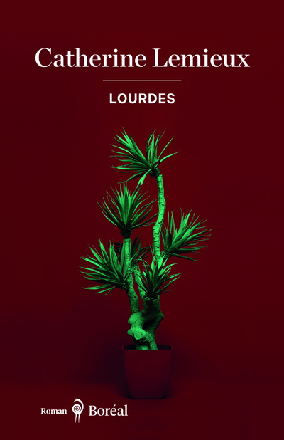 Knjiga Lourdes Catherine Lemieux